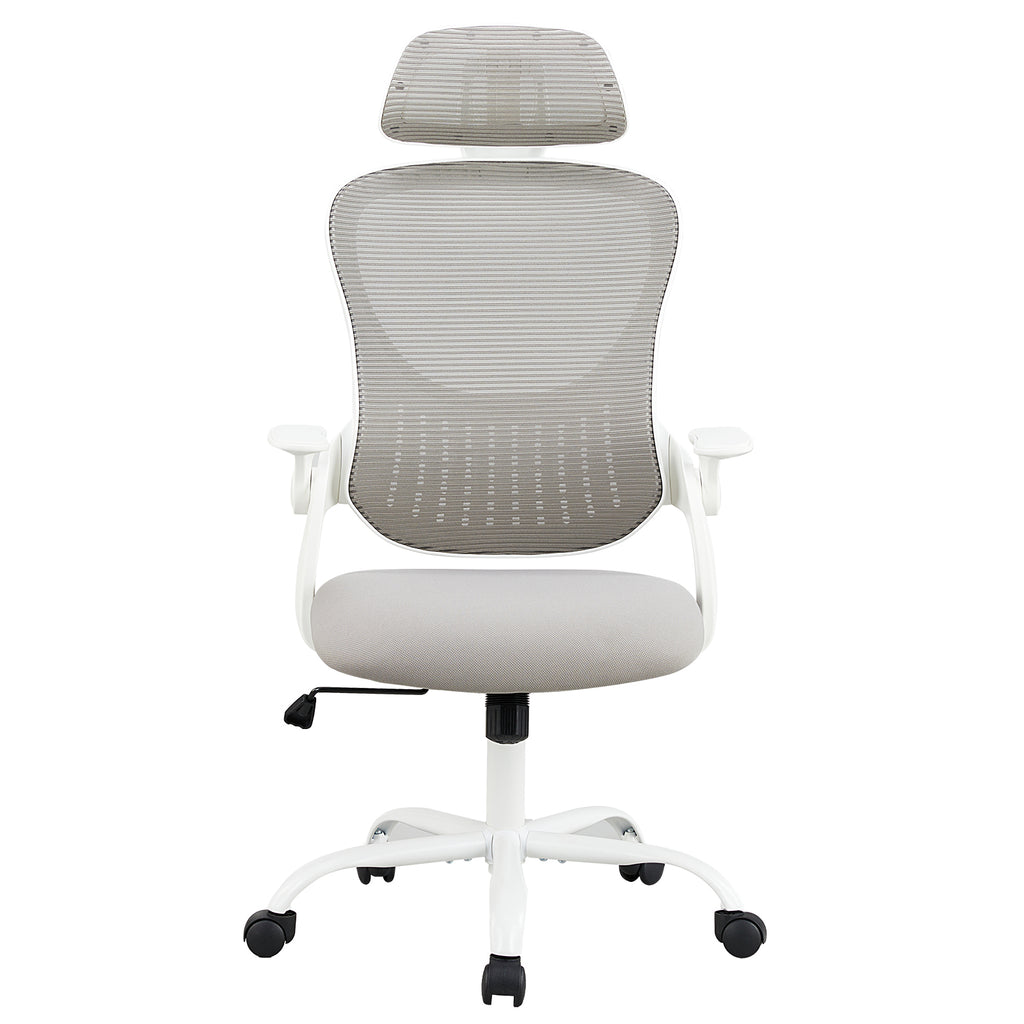 Ergonomics Office Chair
